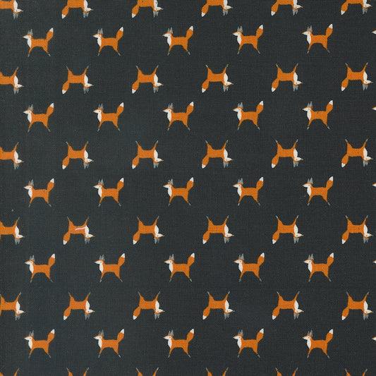 WOODLAND WONDER Fox Trot midnight