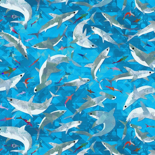ANIMAL KINGDOM Stealthy Sharks cyan