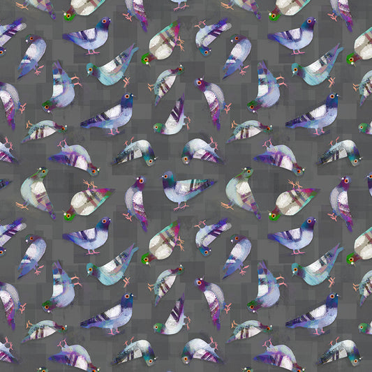 ANIMAL KINGDOM Pigeon Pals asphalt