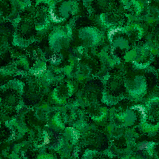 SERENDIPITY -Evergreen