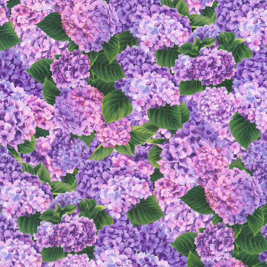 HYDRANGEA GRACE 22990-19 Orchid
