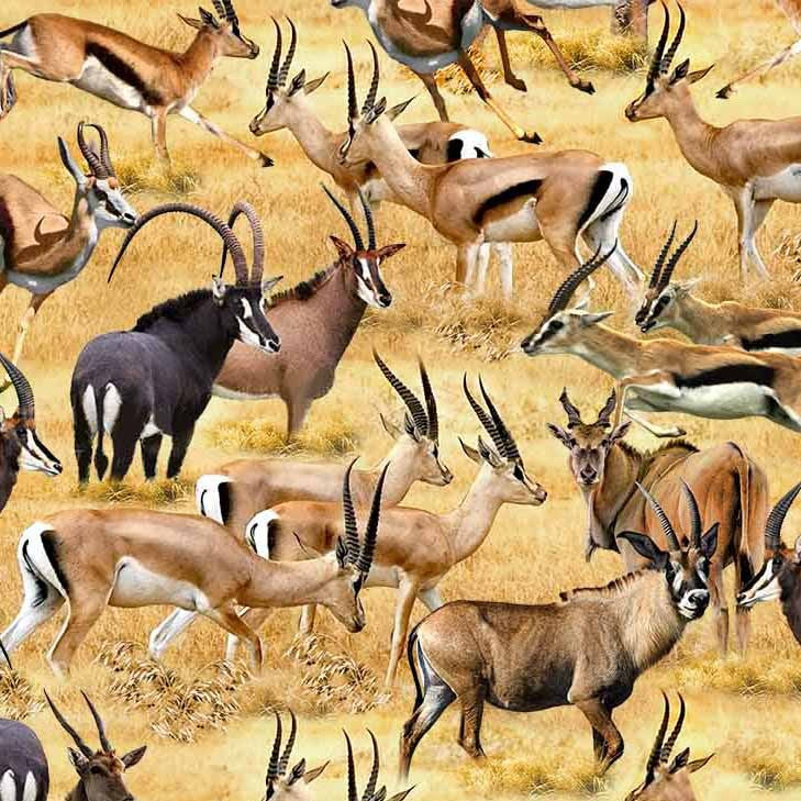 SERENGETI PLAINS Wild Run