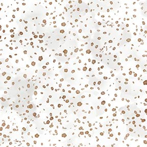 DRAWN TO BIRDS Dots lt grey