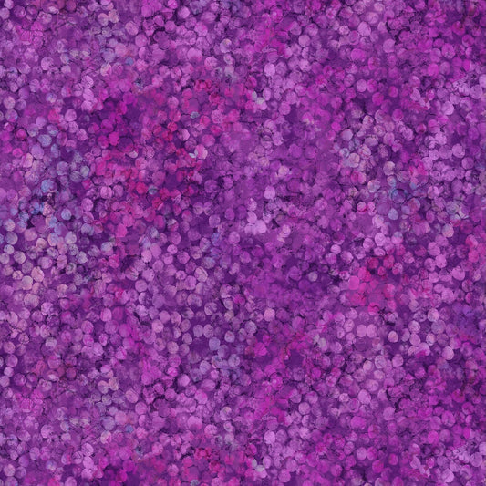CONCERTO Dots purple