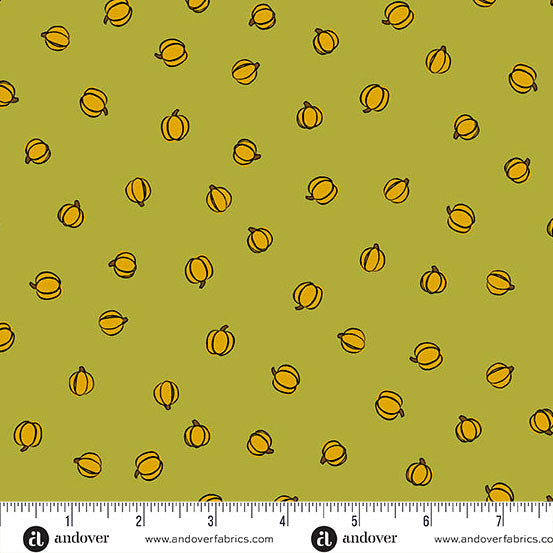 HARVEST HOME Petite Pumpkins moss