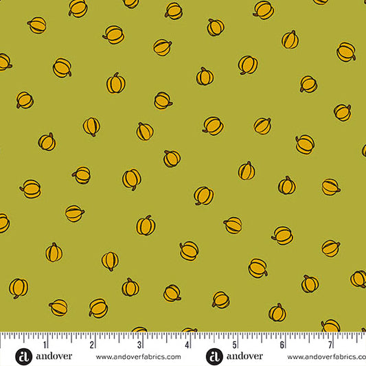 HARVEST HOME Petite Pumpkins moss