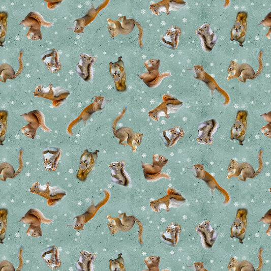 THE SECRET LIFE OF SQUIRRELS II Squirrels teal