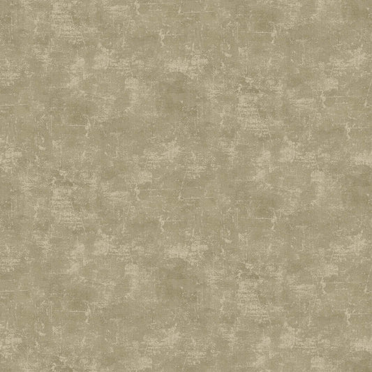 CANVAS Brown Rice 14