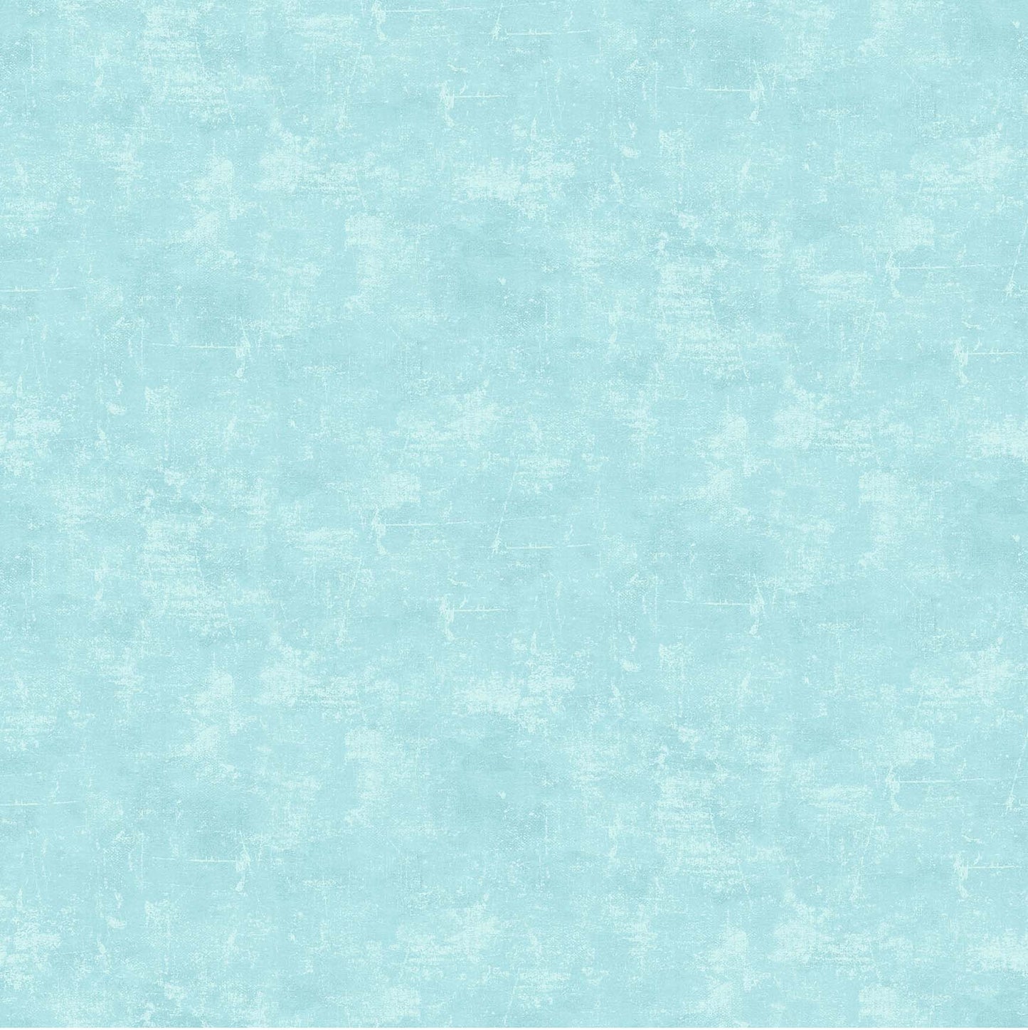CANVAS Robin's Egg 41