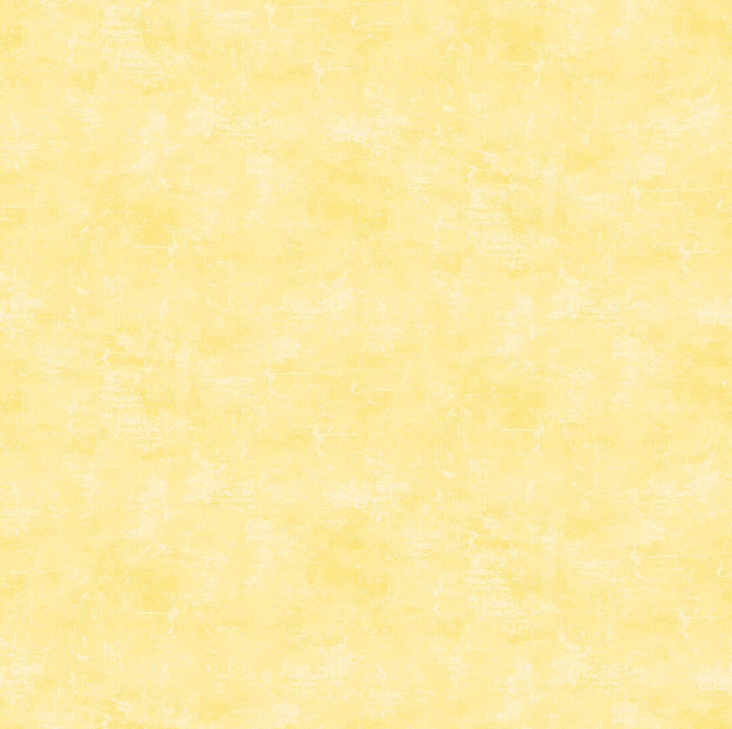CANVAS Lemoncello 51