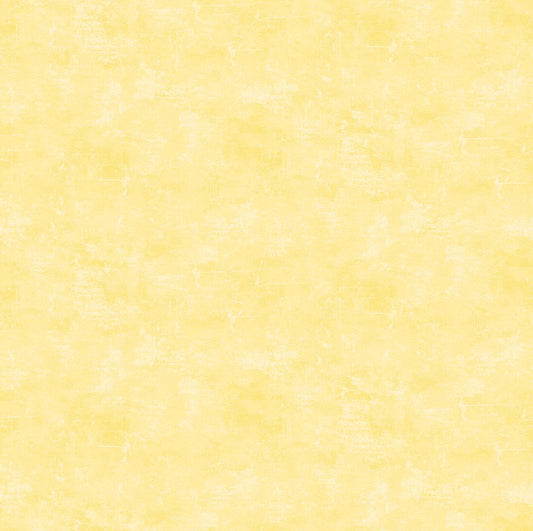 CANVAS Lemoncello 51
