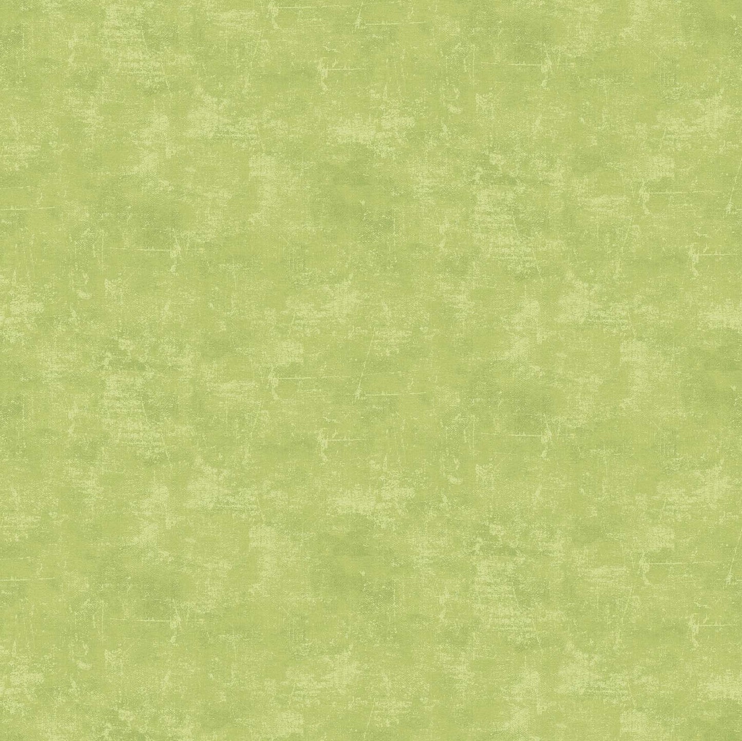 CANVAS Kiwi 71