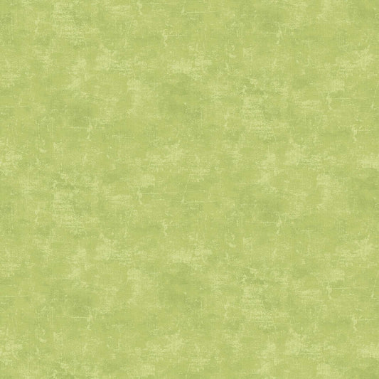 CANVAS Kiwi 71