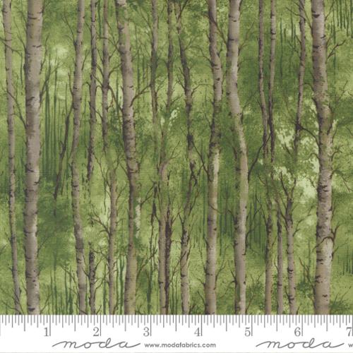 WILD BLUE YONDER 33872 13 pine