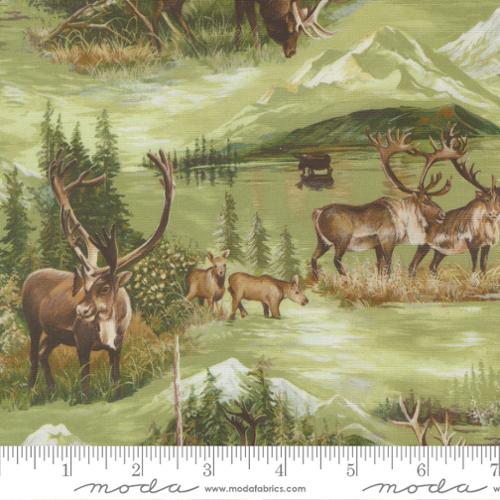 WILD BLUE YONDER 33873 12 pine
