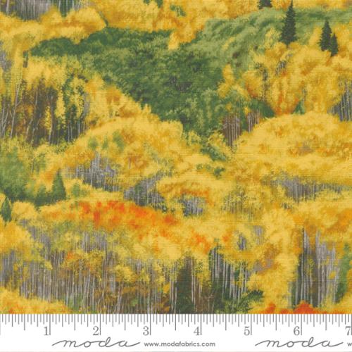 WILD BLUE YONDER 33874 11 forest
