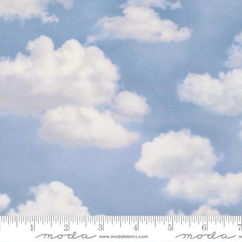 WILD BLUE YONDER 33878 sky