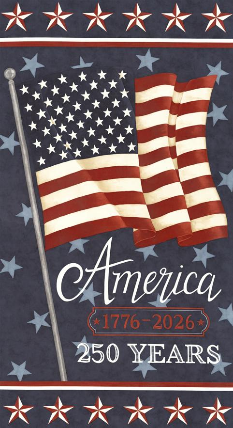 AMERICA 250 YEARS 24"x42" Panel Blue