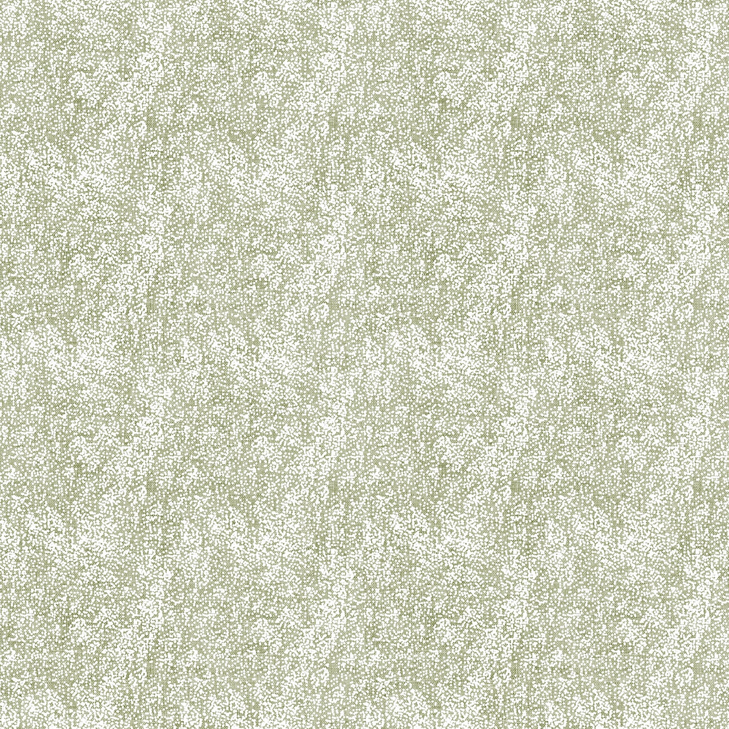 SNOWDRIFT Snow sage