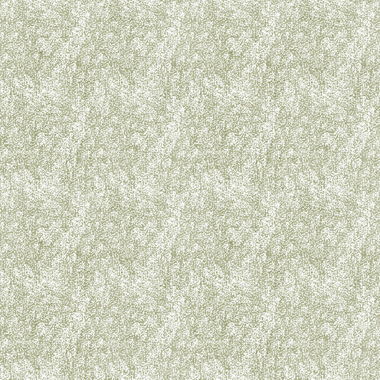 SNOWDRIFT Snow sage