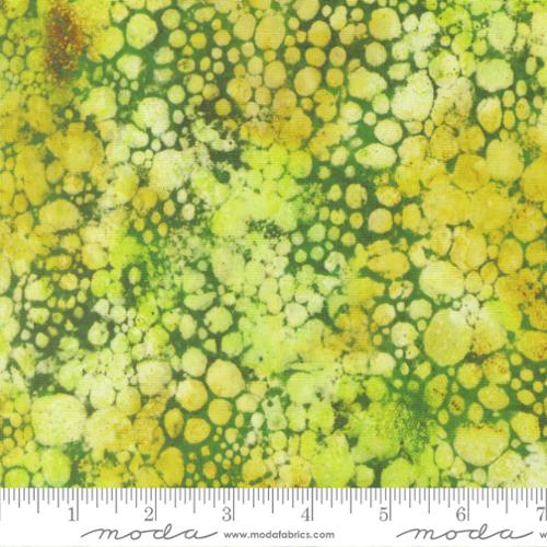 GRADIENTS GALLERY Small Splotches lime