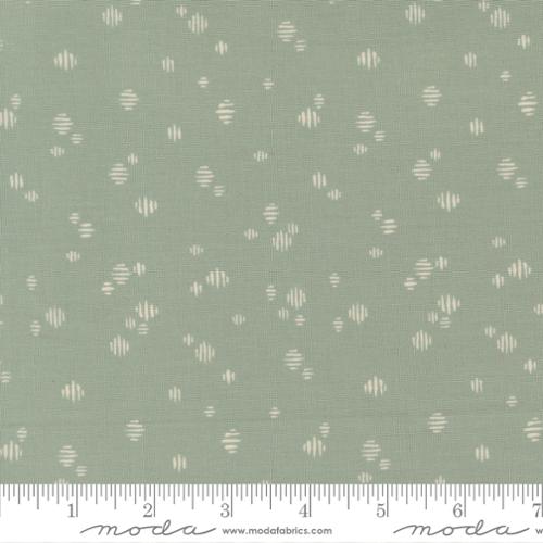 WELLSPRING 45676 storm