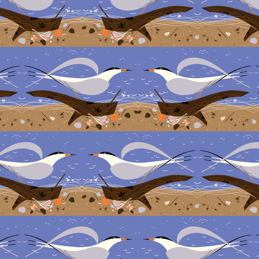 COASTAL Ternscape