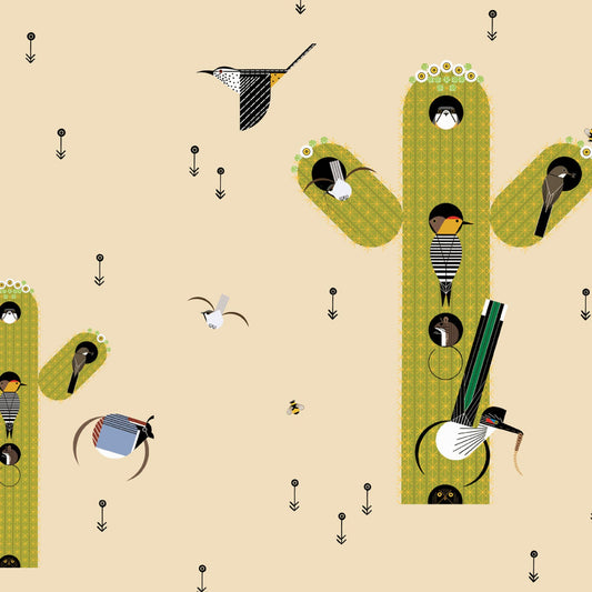 DESERT Cactus Field