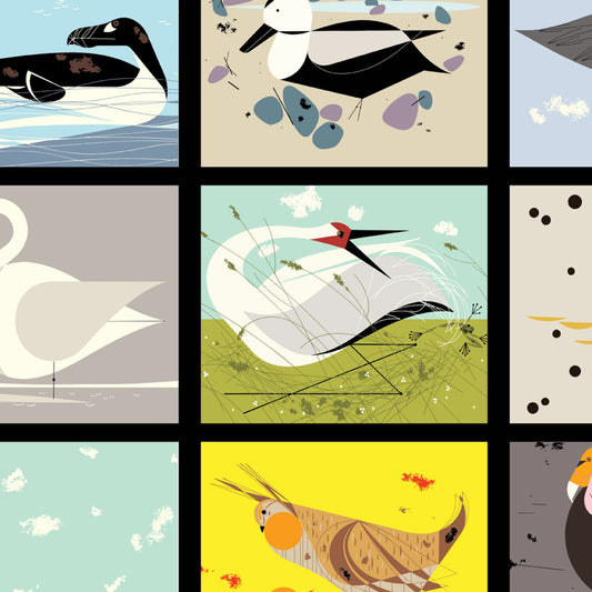 VANISHING BIRDS Patch 24" repeat