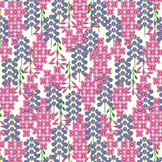 ALPINE NORTHWEST Lupine and Phlox