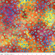 BOLD IN BLOOM  23514 Rainbow Sherbet