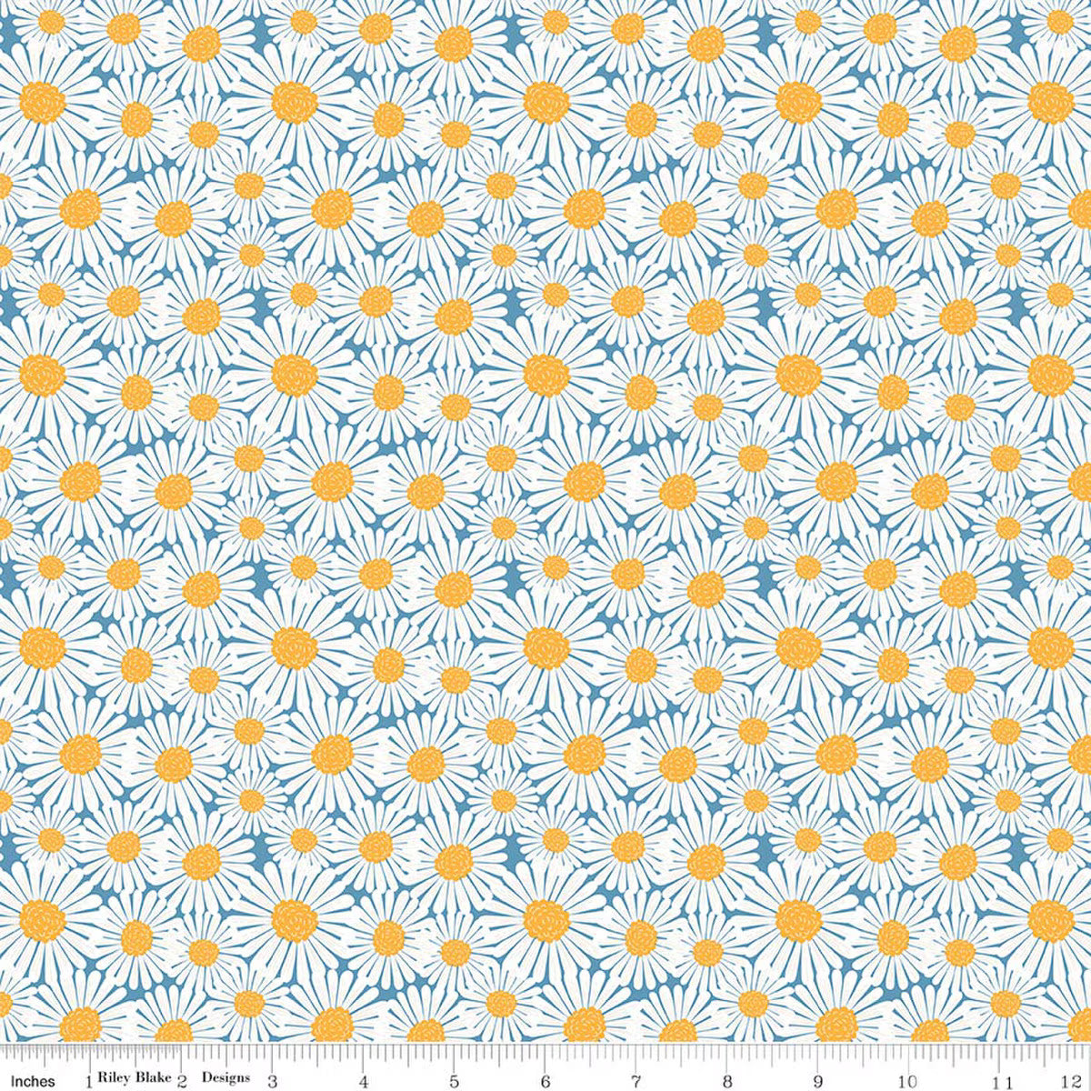 SUNSHINE & DANDELIONS Daisies blue