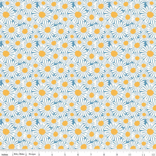SUNSHINE & DANDELIONS Daisies blue