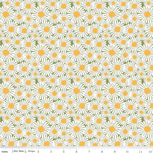 SUNSHINE & DANDELIONS Daisies green