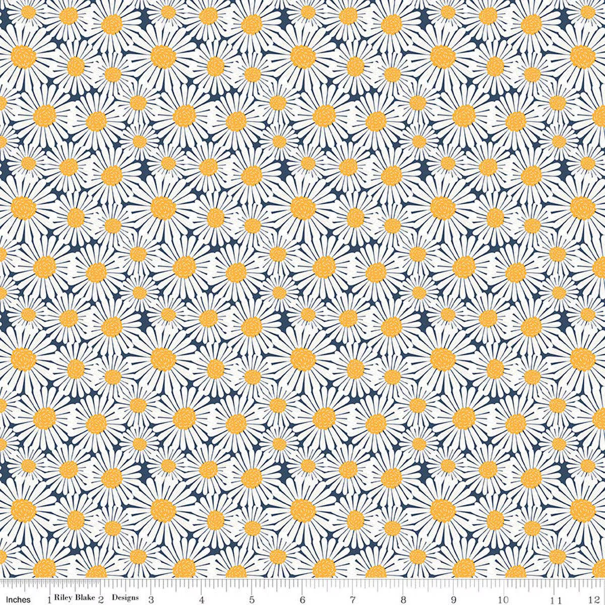 SUNSHINE & DANDELIONS Daisies navy