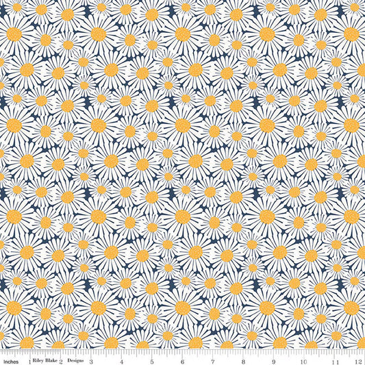 SUNSHINE & DANDELIONS Daisies navy
