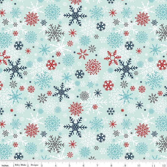 A PERFECT WINTER Snowflakes powder