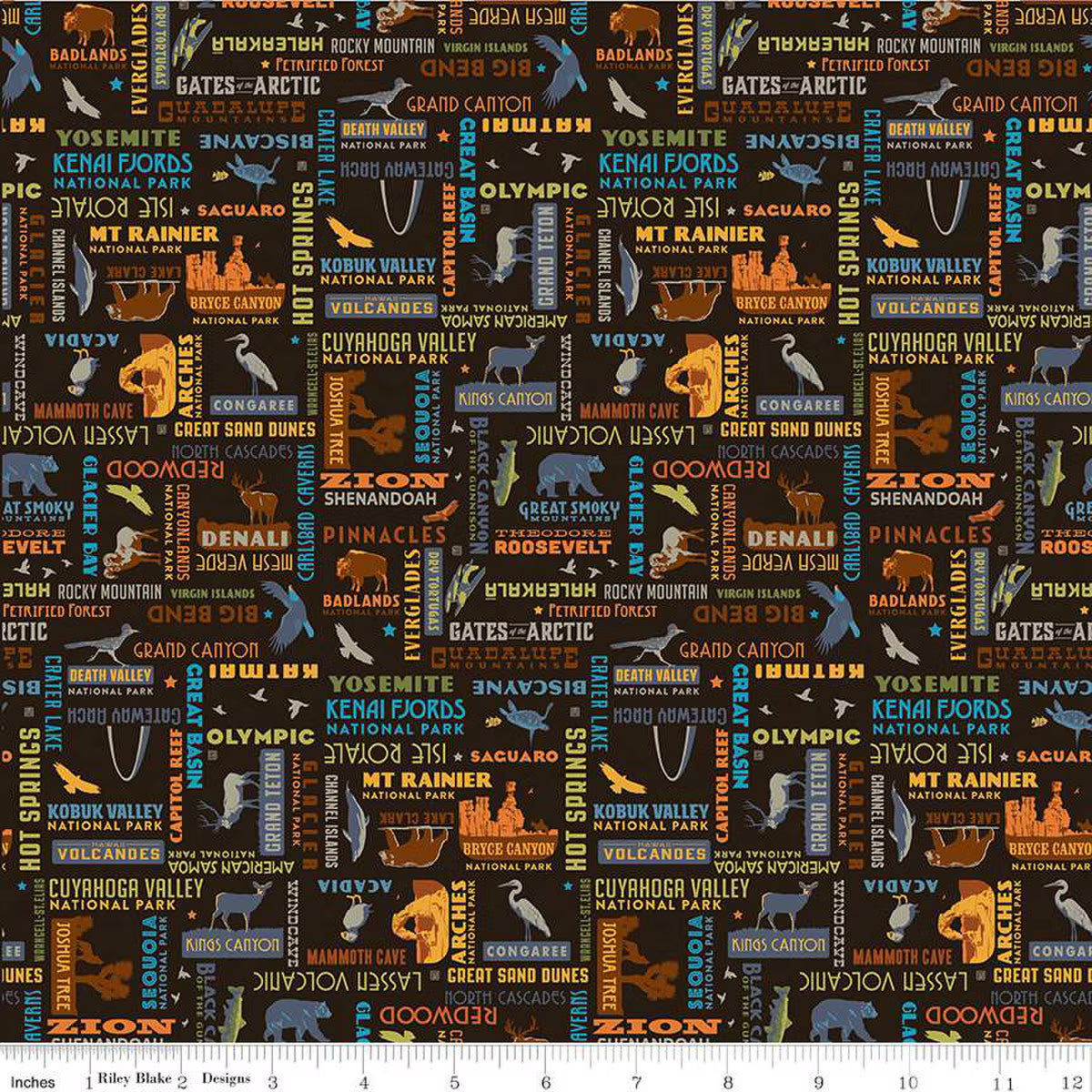 National Parks Word Print Black