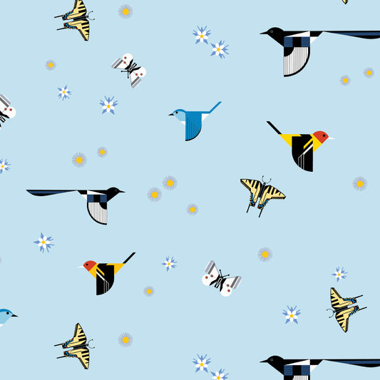 ROCKY MOUNTAINS Rocky Mountain Birds
