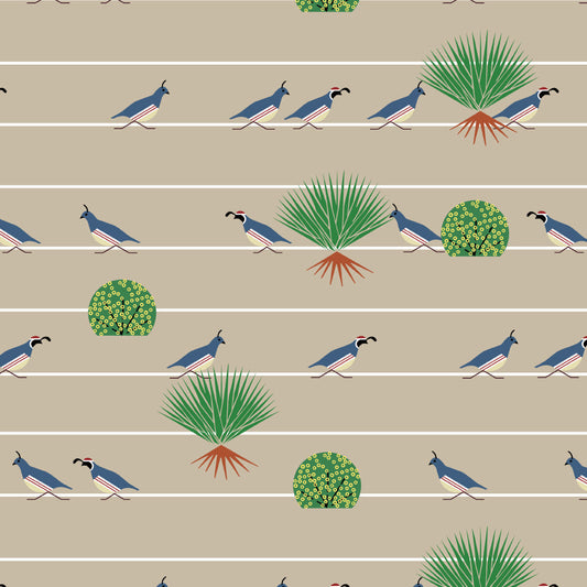 SANTA ROSA Quail Stroll