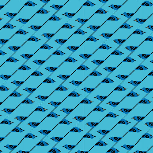 MONTEVERDE HABITAT Bluebird Stagger