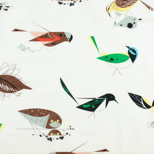 WESTERN BIRDS Western Birds Main