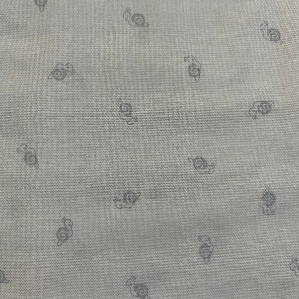 SPACED OUT Snails grey