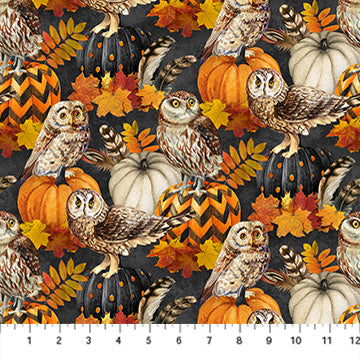 NIGHT OWL Owl & Feathers charcoal multi