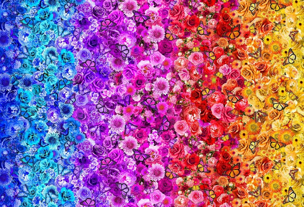 RAINBOW BUTTERFLIES