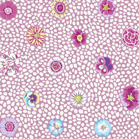GUINEA FLOWER mauve