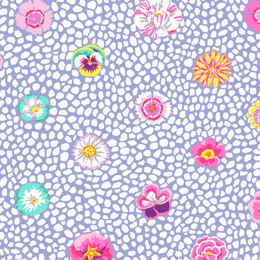 GUINEA FLOWER lavender