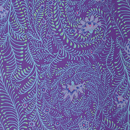FERNS purple