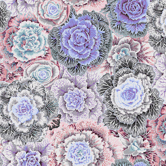 BRASSICA white
