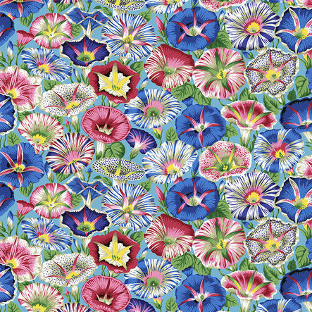 VARIEGATED MORNING GLORY aqua
